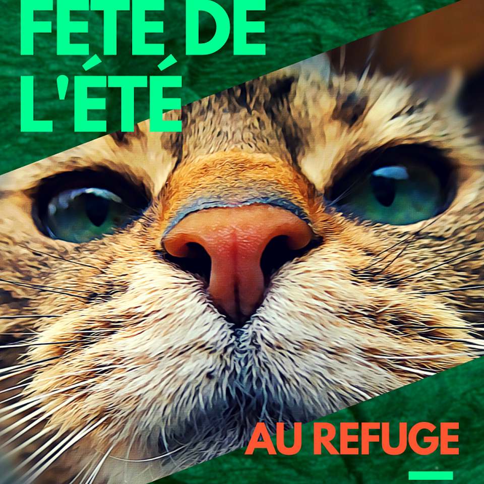 Fête de l'été 2018