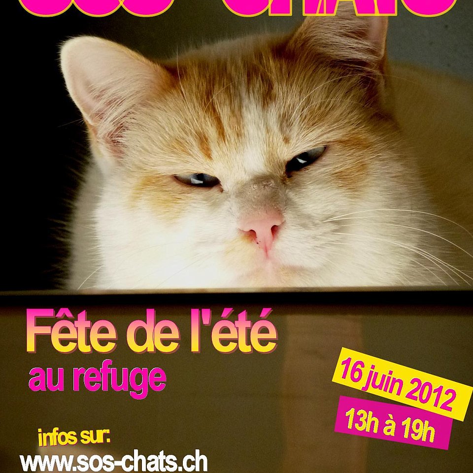 Sos Chats Genève - Fête de l'été 2012