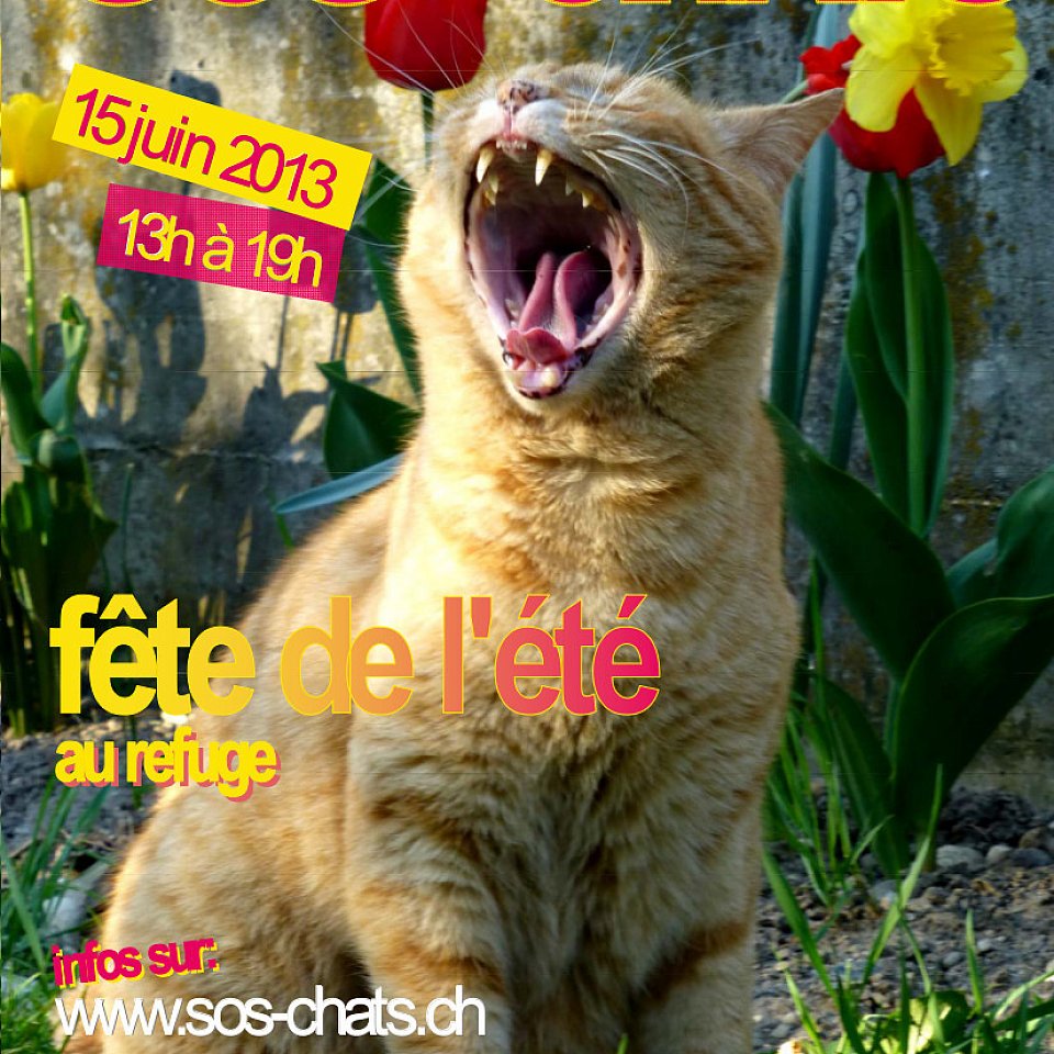 Fête de l'été 2013