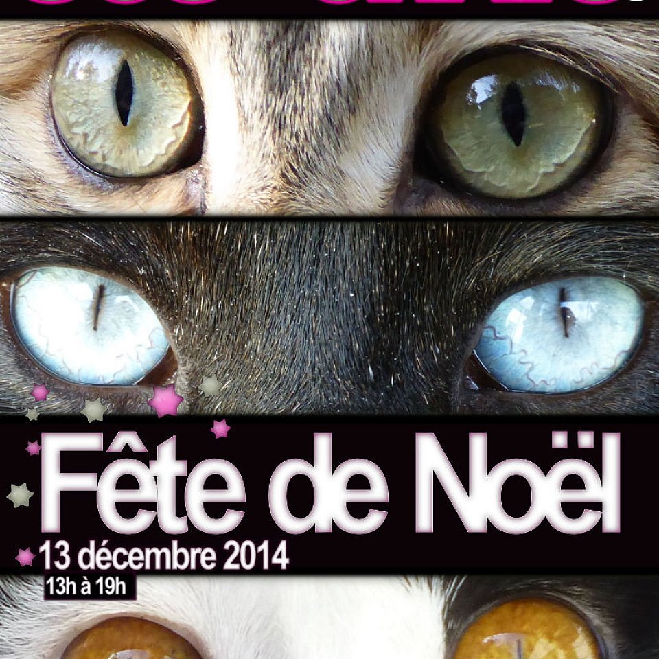 Fête de Noël 2014
