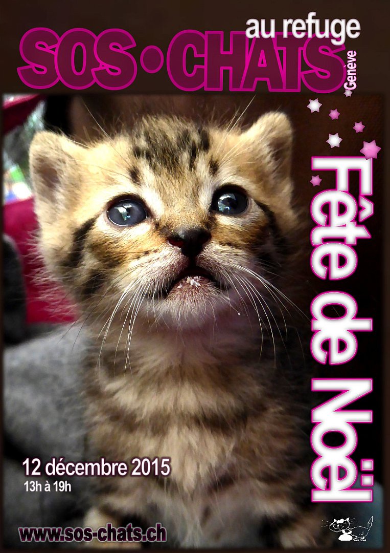 Fête de Noël 2014 le 12 décembre 2015 de 13h à 19h