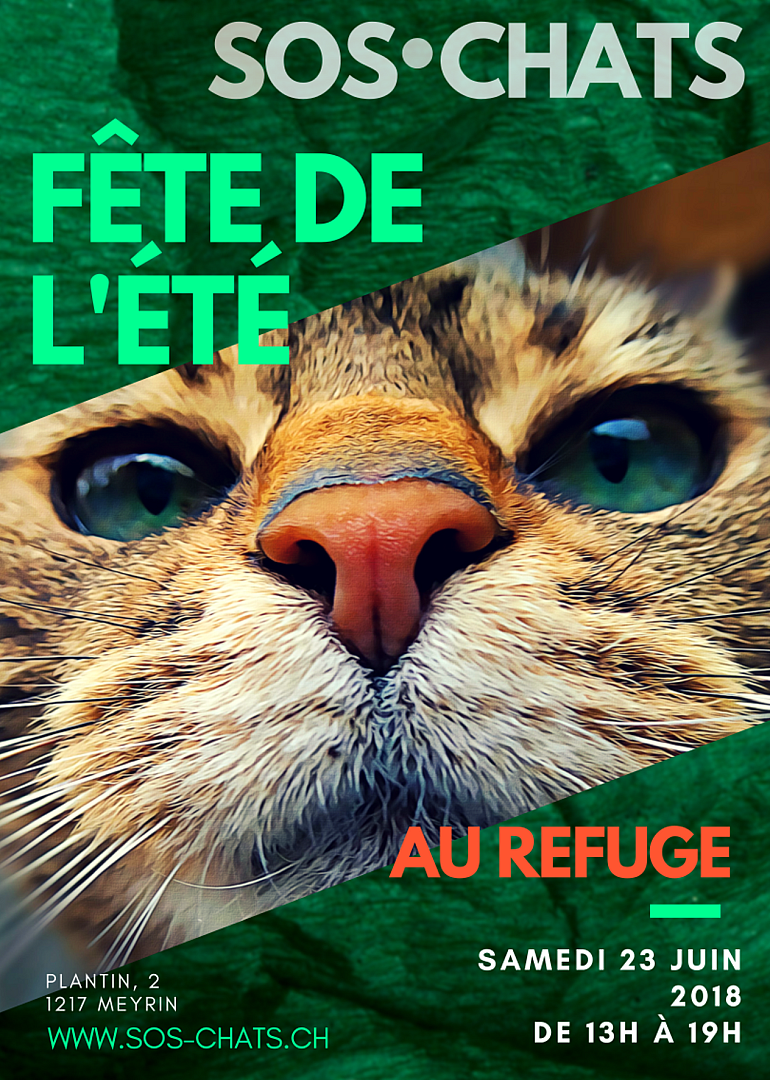 Fête de l'été 2018
