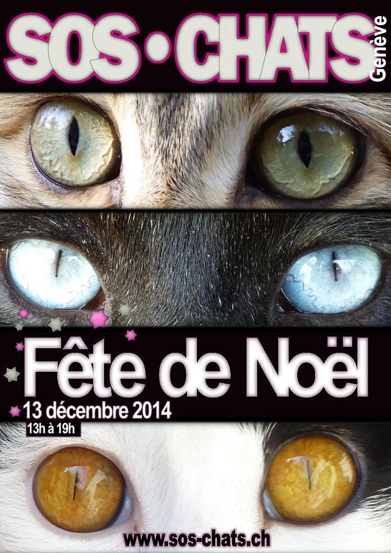 Fête de Noël 2014